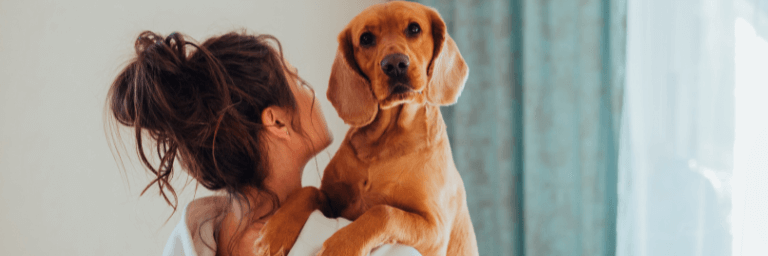 rapporto tra cane e padrone