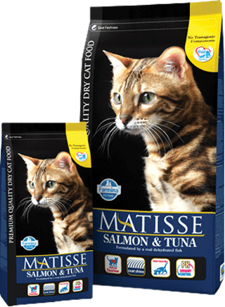 Matisse Salmone & Tonno