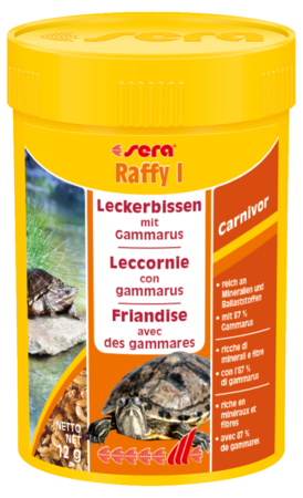 Sera Raffy I Turtles 