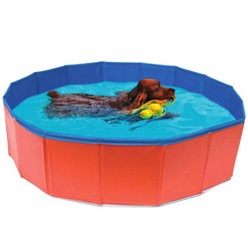 Piscina per Cani Croci