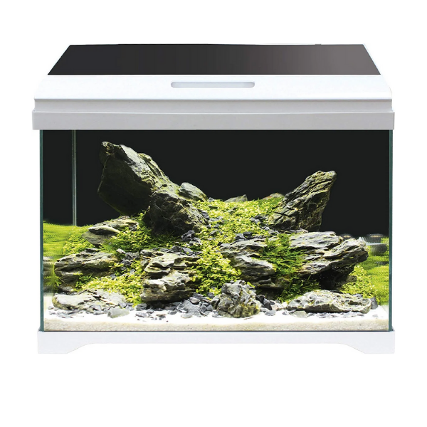 Acquario Modern Tank Amtra