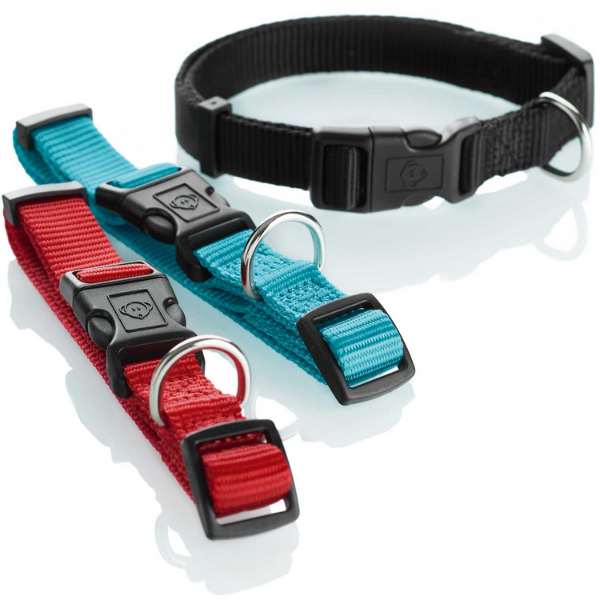 Collare Ecco-Sport Basic Hunter