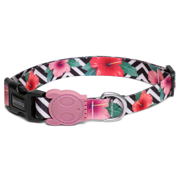 Collare Mahalo Zee Dog