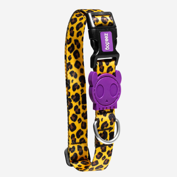 Collare Honey Zee Dog