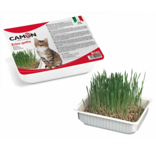 Camon Erba Gatta Vaschetta Orzo