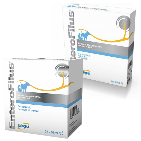 DRN Enterofilus Fiale 