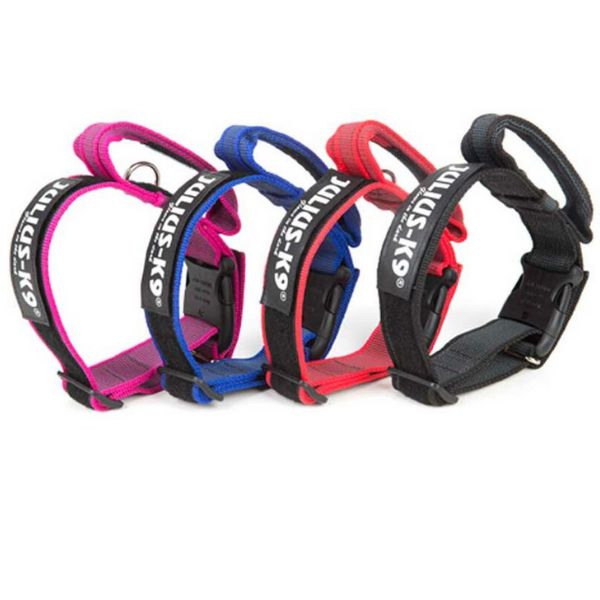 Collare Color & Gray con maniglia di sicurezza Julius K9