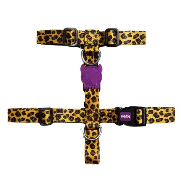 Pettorina ad H Honey Zee Dog