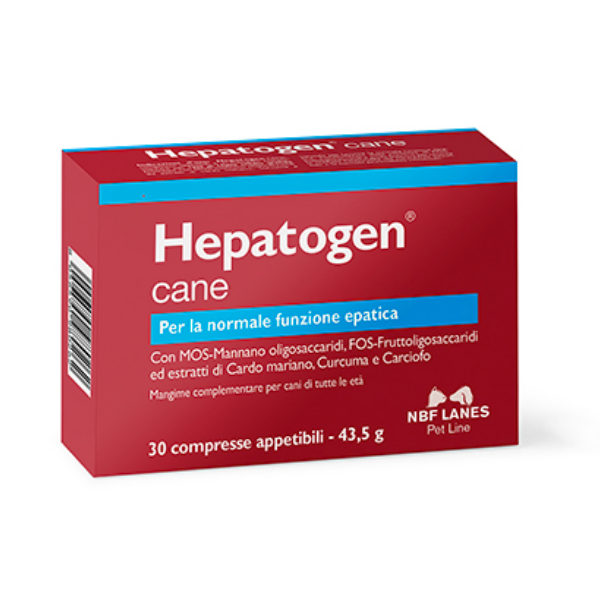 NBF Hepatongen Cane 