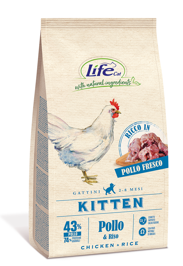 LifeCat Kitten con Pollo