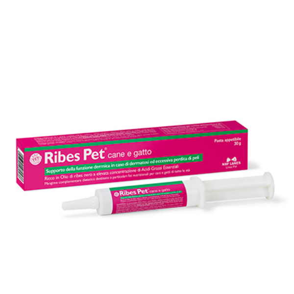 Ribes Pet pasta 