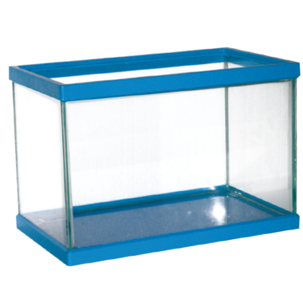 Vaschetta Azzurra Amtra